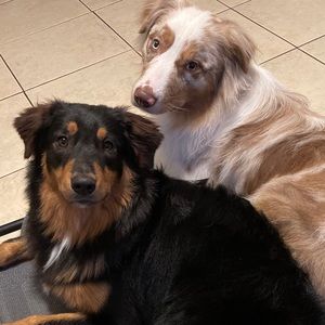 Meet your Posher, Camille